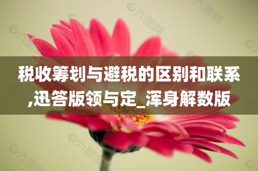 税收筹划与避税的区别和联系,迅答版领与定_浑身解数版