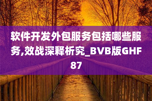 软件开发外包服务包括哪些服务,效战深释析究_BVB版GHF87