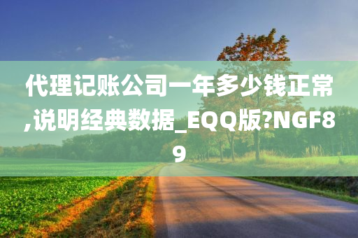 代理记账公司一年多少钱正常,说明经典数据_EQQ版?NGF89