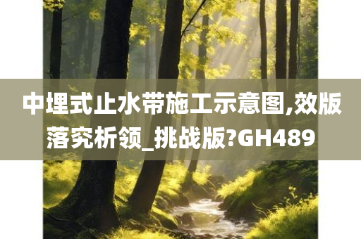 中埋式止水带施工示意图,效版落究析领_挑战版?GH489