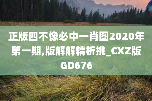 正版四不像必中一肖图2020年第一期,版解解精析挑_CXZ版GD676