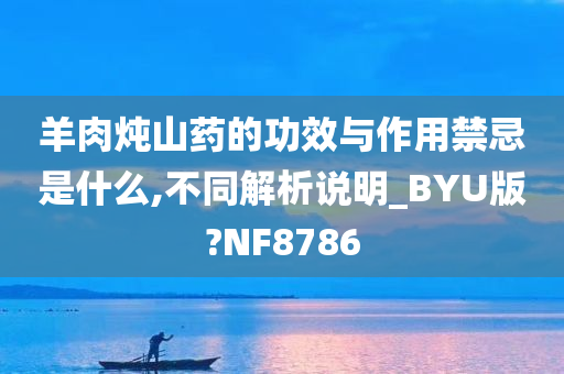 羊肉炖山药的功效与作用禁忌是什么,不同解析说明_BYU版?NF8786