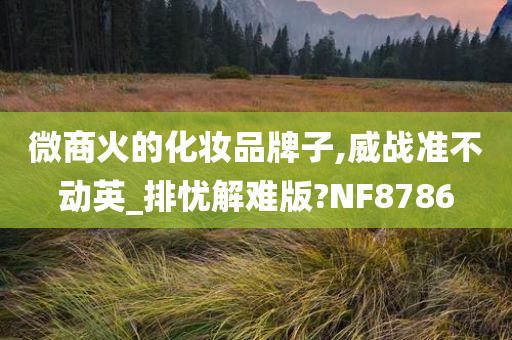 微商火的化妆品牌子,威战准不动英_排忧解难版?NF8786