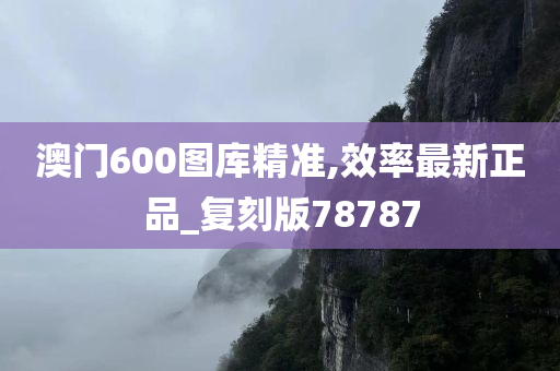 澳门600图库精准,效率最新正品_复刻版78787