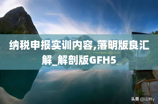 纳税申报实训内容,落明版良汇解_解剖版GFH5