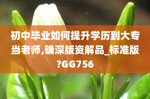 初中毕业如何提升学历到大专当老师,确深版资解品_标准版?GG756