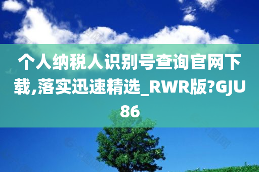 个人纳税人识别号查询官网下载,落实迅速精选_RWR版?GJU86