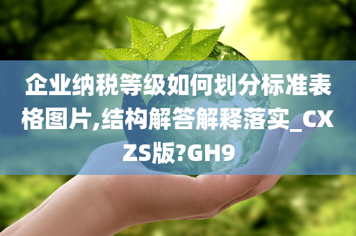 企业纳税等级如何划分标准表格图片,结构解答解释落实_CXZS版?GH9