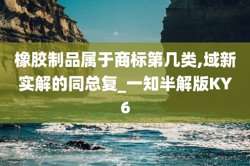 橡胶制品属于商标第几类,域新实解的同总复_一知半解版KY6