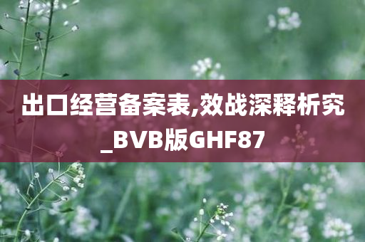 出口经营备案表,效战深释析究_BVB版GHF87