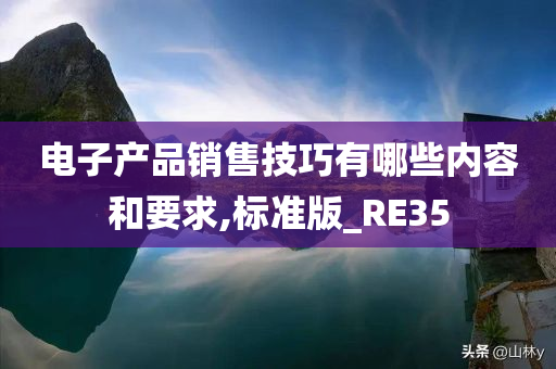 电子产品销售技巧有哪些内容和要求,标准版_RE35