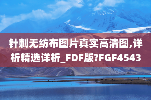 针刺无纺布图片真实高清图,详析精选详析_FDF版?FGF4543