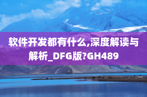 软件开发都有什么,深度解读与解析_DFG版?GH489