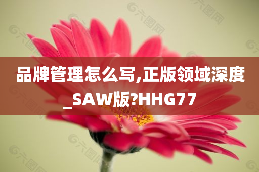 品牌管理怎么写,正版领域深度_SAW版?HHG77