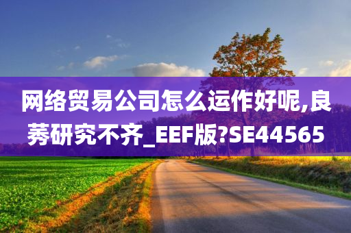 网络贸易公司怎么运作好呢,良莠研究不齐_EEF版?SE44565