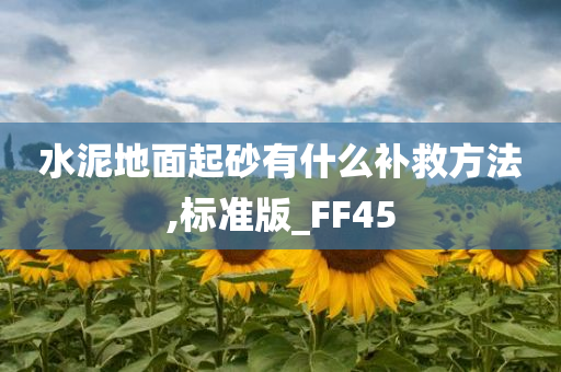 水泥地面起砂有什么补救方法,标准版_FF45