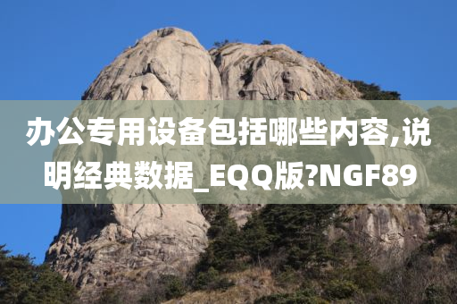 办公专用设备包括哪些内容,说明经典数据_EQQ版?NGF89