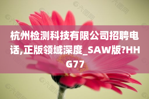 杭州检测科技有限公司招聘电话,正版领域深度_SAW版?HHG77