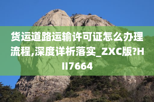 货运道路运输许可证怎么办理流程,深度详析落实_ZXC版?HII7664