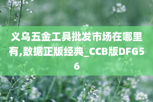 义乌五金工具批发市场在哪里有,数据正版经典_CCB版DFG56