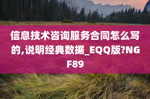 信息技术咨询服务合同怎么写的,说明经典数据_EQQ版?NGF89