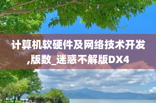 计算机软硬件及网络技术开发,版数_迷惑不解版DX4