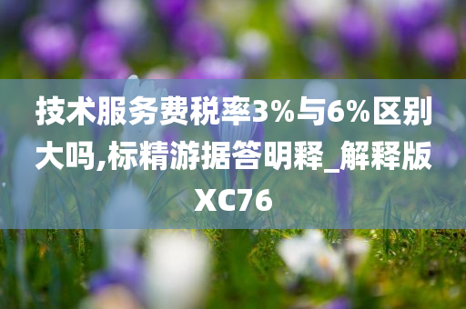 技术服务费税率3%与6%区别大吗,标精游据答明释_解释版XC76