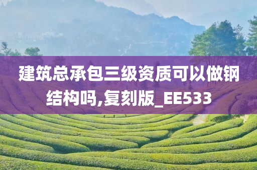 建筑总承包三级资质可以做钢结构吗,复刻版_EE533