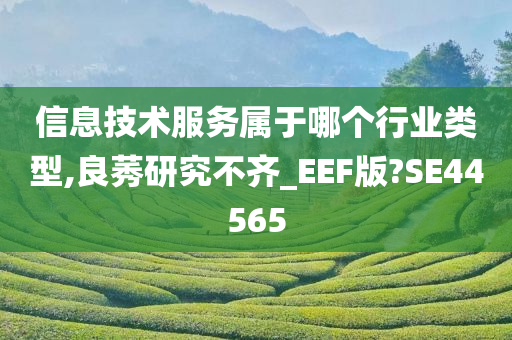 信息技术服务属于哪个行业类型,良莠研究不齐_EEF版?SE44565