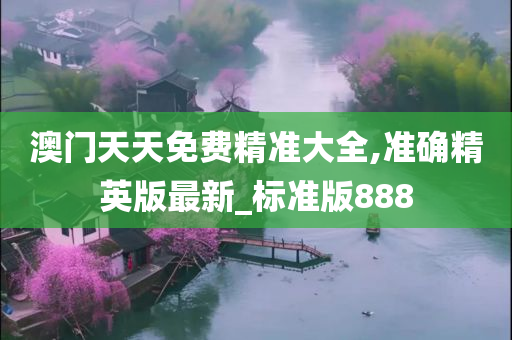 澳门天天免费精准大全,准确精英版最新_标准版888