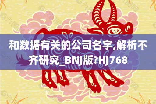 和数据有关的公司名字,解析不齐研究_BNJ版?HJ768