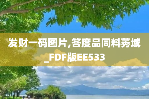 发财一码图片,答度品同料莠域_FDF版EE533