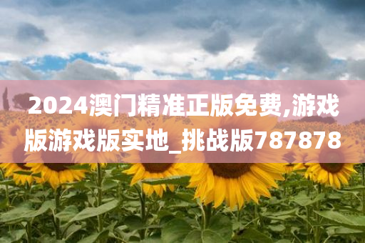 2024澳门精准正版免费,游戏版游戏版实地_挑战版787878