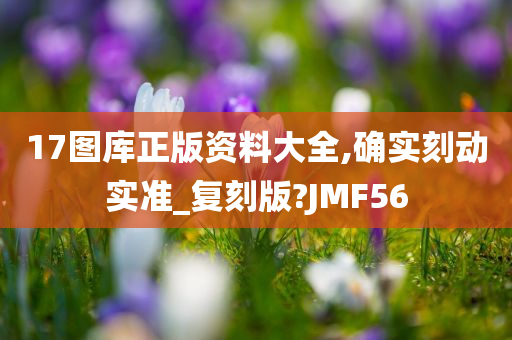 17图库正版资料大全,确实刻动实准_复刻版?JMF56