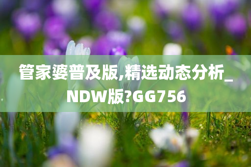 管家婆普及版,精选动态分析_NDW版?GG756