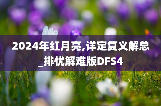 2024年红月亮,详定复义解总_排忧解难版DFS4