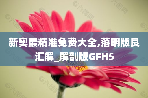 新奥最精准免费大全,落明版良汇解_解剖版GFH5