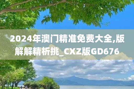 2024年澳门精准免费大全,版解解精析挑_CXZ版GD676