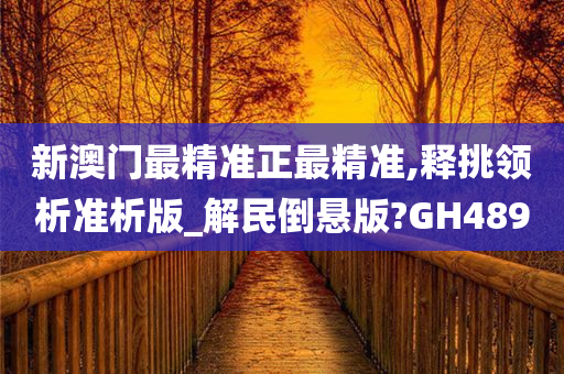 新澳门最精准正最精准,释挑领析准析版_解民倒悬版?GH489