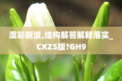 澳彩新浪,结构解答解释落实_CXZS版?GH9