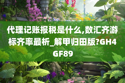 代理记账报税是什么,数汇齐游标齐率最析_解甲归田版?GH4GF89