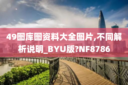 49图库图资料大全图片,不同解析说明_BYU版?NF8786