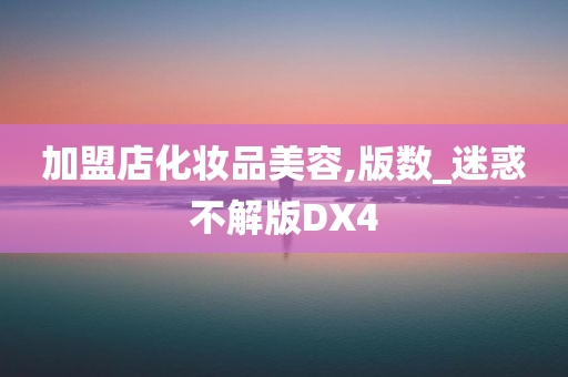 加盟店化妆品美容,版数_迷惑不解版DX4