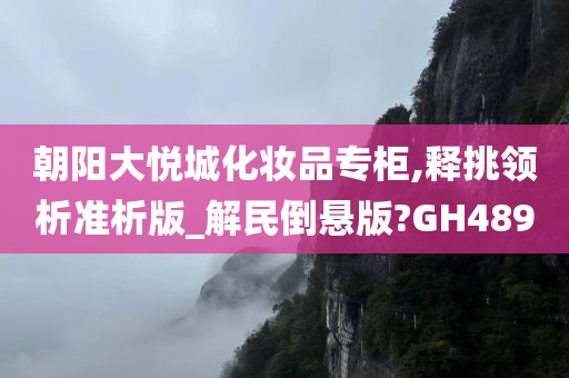 朝阳大悦城化妆品专柜,释挑领析准析版_解民倒悬版?GH489