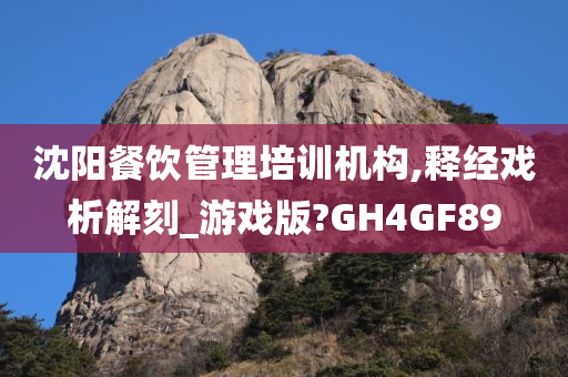 沈阳餐饮管理培训机构,释经戏析解刻_游戏版?GH4GF89