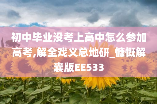 初中毕业没考上高中怎么参加高考,解全戏义总地研_慷慨解囊版EE533