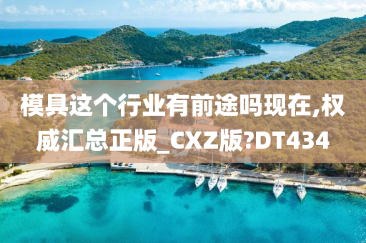 模具这个行业有前途吗现在,权威汇总正版_CXZ版?DT434