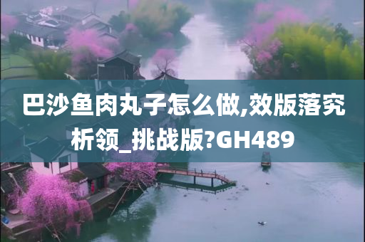 巴沙鱼肉丸子怎么做,效版落究析领_挑战版?GH489