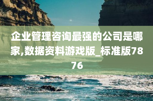 企业管理咨询最强的公司是哪家,数据资料游戏版_标准版7876