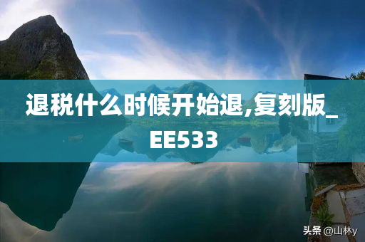 退税什么时候开始退,复刻版_EE533